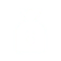 tech-cu-icon-money-bag