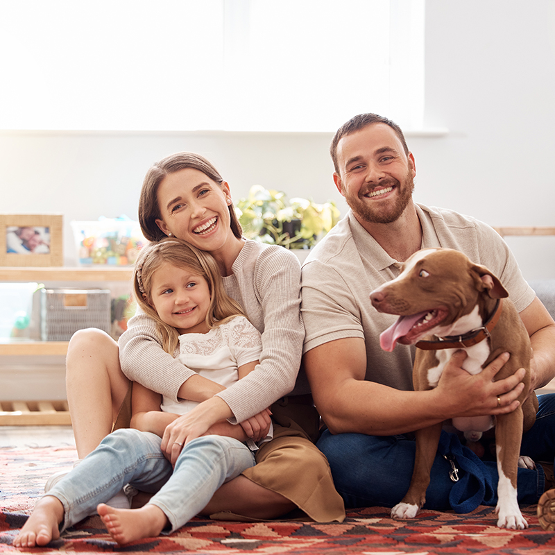 a family and their dog
